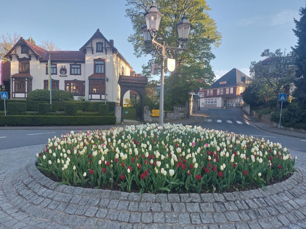 Ferienwohnung Sweety Haus Sachsensteinblick バート・ザクサ エクステリア 写真